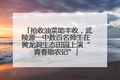 抢收油菜助丰收，武陵源一中数百名师生在黄龙洞生态田园上演“青春助农记”