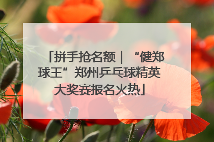 拼手抢名额｜“健郑球王”郑州乒乓球精英大奖赛报名火热