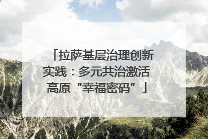 拉萨基层治理创新实践：多元共治激活高原“幸福密码”