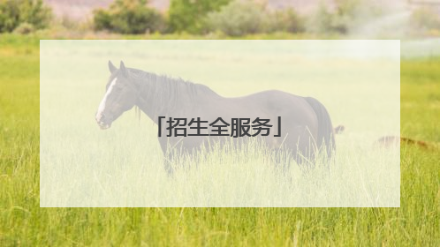 招生全服务