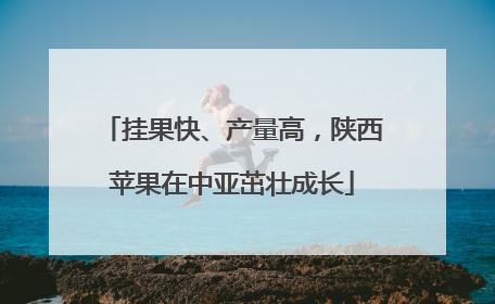 挂果快、产量高，陕西苹果在中亚茁壮成长