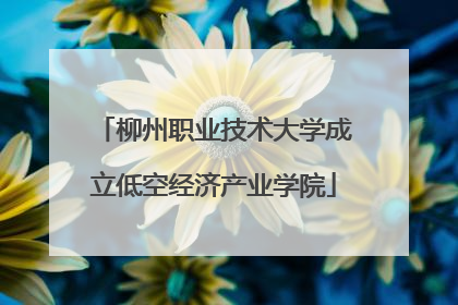 柳州职业技术大学成立低空经济产业学院