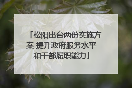 松阳出台两份实施方案 提升政府服务水平和干部履职能力