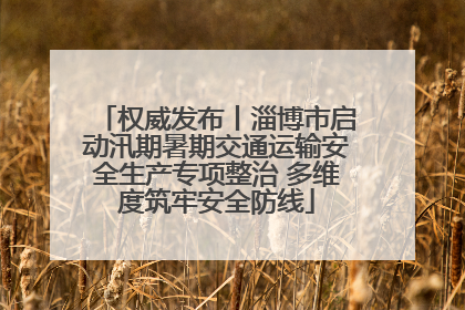 权威发布丨淄博市启动汛期暑期交通运输安全生产专项整治 多维度筑牢安全防线