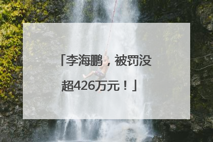 李海鹏，被罚没超426万元！