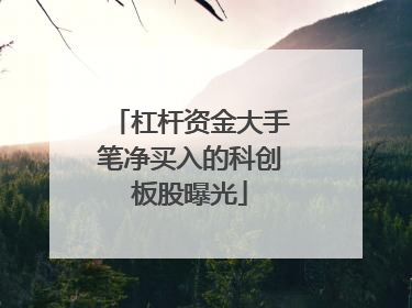 杠杆资金大手笔净买入的科创板股曝光