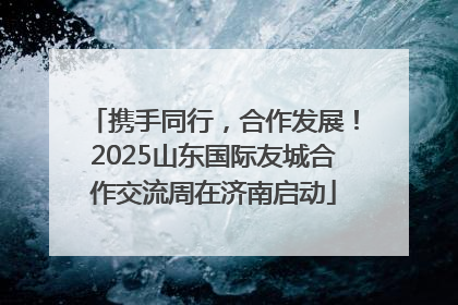 携手同行，合作发展！2025山东国际友城合作交流周在济南启动