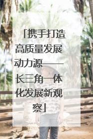 携手打造高质量发展动力源——长三角一体化发展新观察
