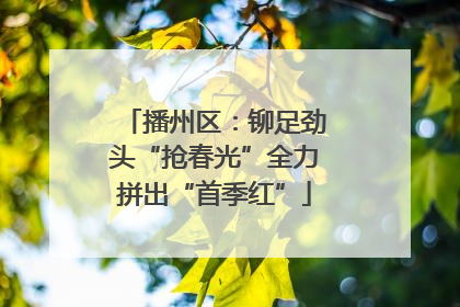 播州区：铆足劲头“抢春光”全力拼出“首季红”
