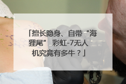 擅长隐身、自带“海狸尾” 彩虹-7无人机究竟有多牛？