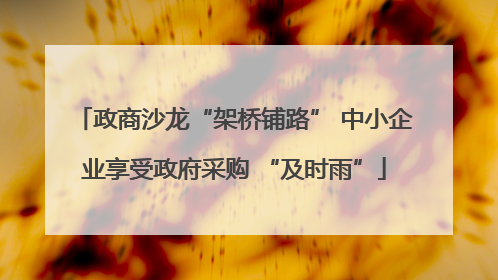 政商沙龙“架桥铺路” 中小企业享受政府采购 “及时雨”