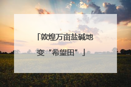 敦煌万亩盐碱地变“希望田”