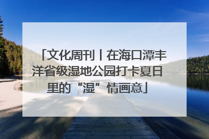 文化周刊丨在海口潭丰洋省级湿地公园打卡夏日里的“湿”情画意