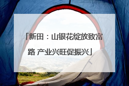 新田：山银花绽放致富路 产业兴旺促振兴