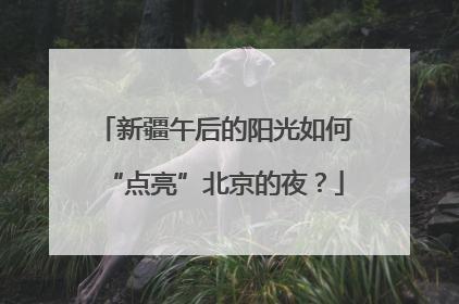 新疆午后的阳光如何“点亮”北京的夜？