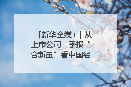 新华全媒+｜从上市公司一季报“含新量”看中国经济发展向“新”