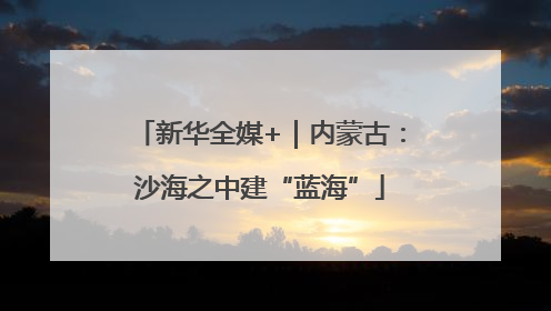 新华全媒+｜内蒙古：沙海之中建“蓝海”
