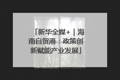 新华全媒+｜海南自贸港：政策创新赋能产业发展
