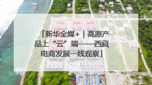 新华全媒+｜高原产品上“云”端——西藏电商发展一线观察