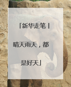 新华走笔丨晴天雨天，都是好天