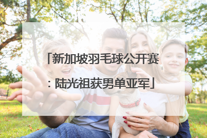 新加坡羽毛球公开赛：陆光祖获男单亚军