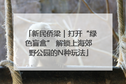 新民侨梁｜打开“绿色盲盒” 解锁上海郊野公园的N种玩法