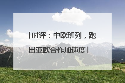时评：中欧班列，跑出亚欧合作加速度