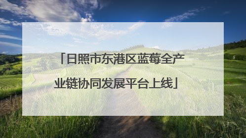 日照市东港区蓝莓全产业链协同发展平台上线