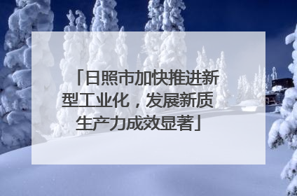 日照市加快推进新型工业化，发展新质生产力成效显著