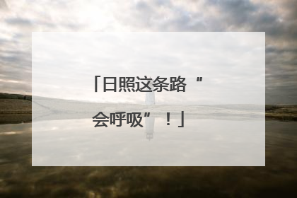 日照这条路“会呼吸”！