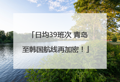 日均39班次 青岛至韩国航线再加密！
