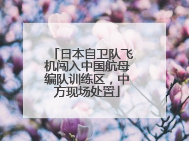 日本自卫队飞机闯入中国航母编队训练区，中方现场处置