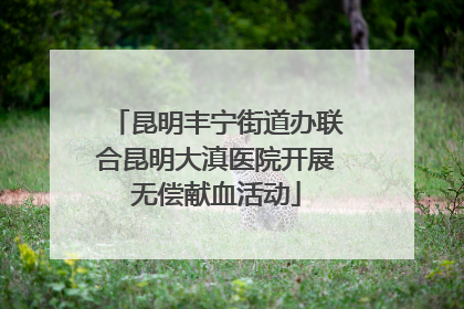 昆明丰宁街道办联合昆明大滇医院开展无偿献血活动