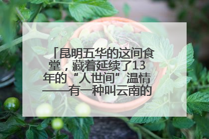 昆明五华的这间食堂，藏着延续了13年的“人世间”温情——有一种叫云南的生活之365天