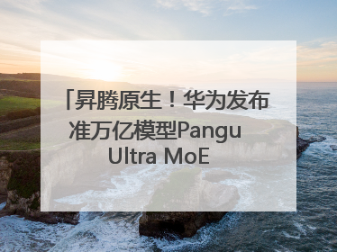 昇腾原生！华为发布准万亿模型Pangu Ultra MoE模型架构和训练细节