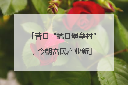 昔日“抗日堡垒村”，今朝富民产业新