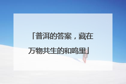 普洱的答案，藏在万物共生的和鸣里