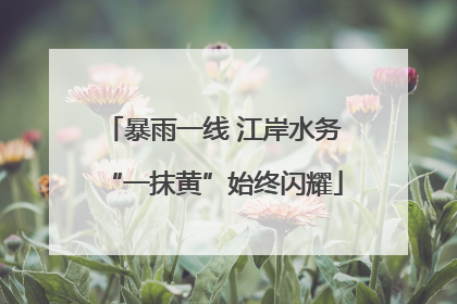暴雨一线 江岸水务“一抹黄”始终闪耀