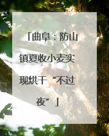 曲阜：防山镇夏收小麦实现烘干“不过夜”
