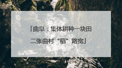 曲阜：集体耕种一块田 二张曲村“稻”路宽
