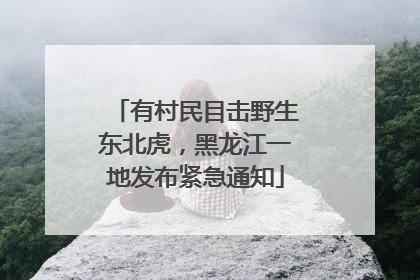有村民目击野生东北虎，黑龙江一地发布紧急通知