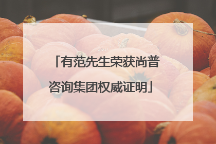 有范先生荣获尚普咨询集团权威证明