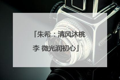 朱希：清风沐桃李 微光润初心