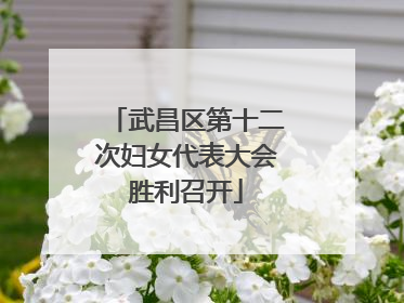 武昌区第十二次妇女代表大会胜利召开