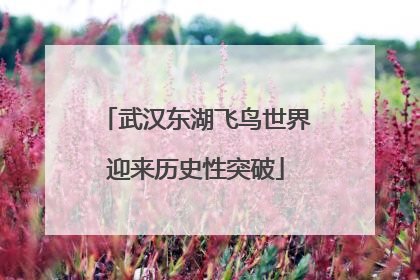 武汉东湖飞鸟世界迎来历史性突破