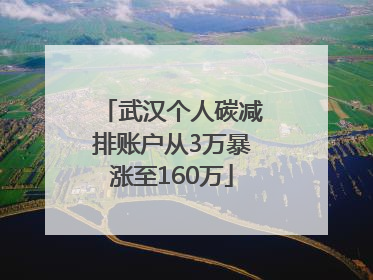 武汉个人碳减排账户从3万暴涨至160万