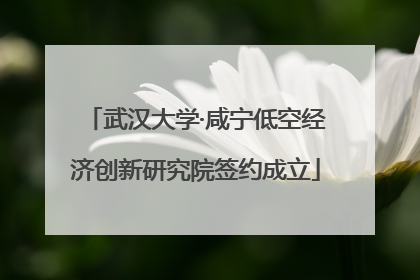 武汉大学·咸宁低空经济创新研究院签约成立