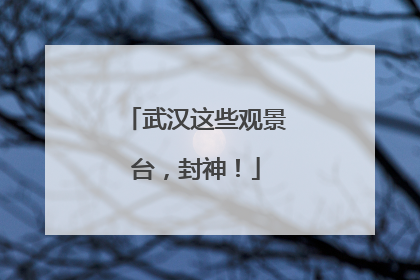 武汉这些观景台，封神！