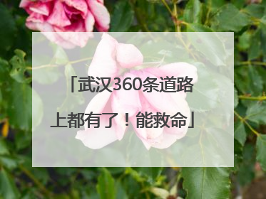 武汉360条道路上都有了！能救命