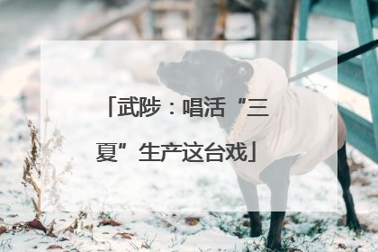 武陟：唱活“三夏”生产这台戏